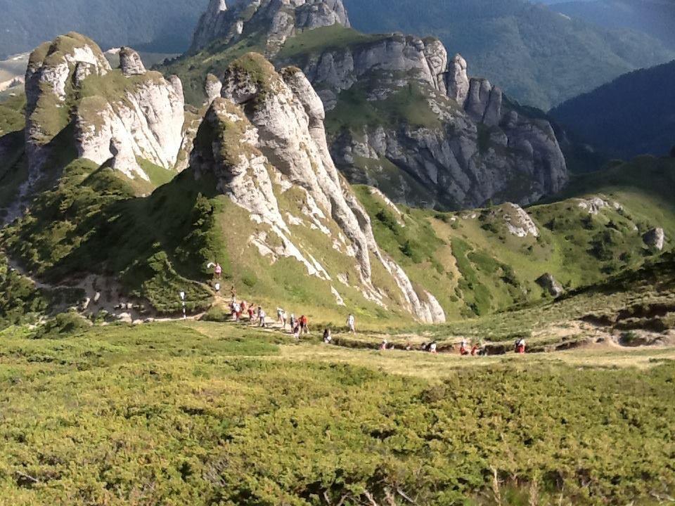 Vila Bratocea Cheia  Exteriér fotografie